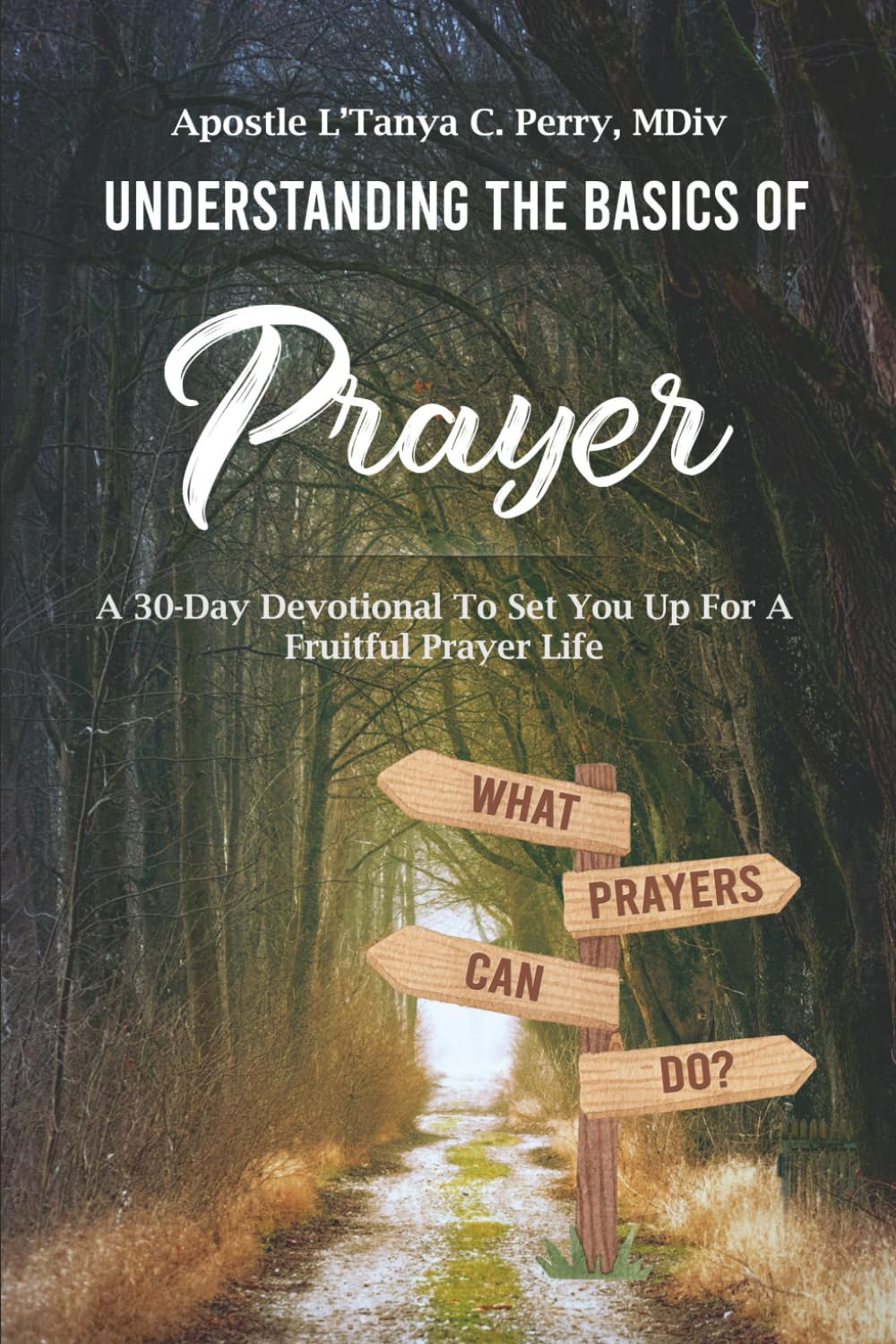 Undertanding the Basics of Prayer: A 30-Day Devotional for a Fruitful Prayer Life (Faith, Purpose & Healing Collection)