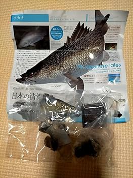 Amazon.co.jp: ネイチャーテクニカラー 日本の清流 増補特装版