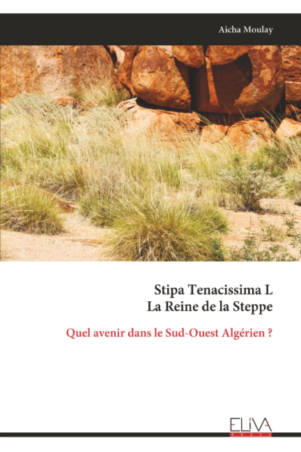 Stipa Tenacissima L La Reine de la Steppe: Quel avenir dans le Sud-Ouest Algérien ?