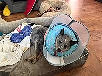 Review Image by Mary Mary