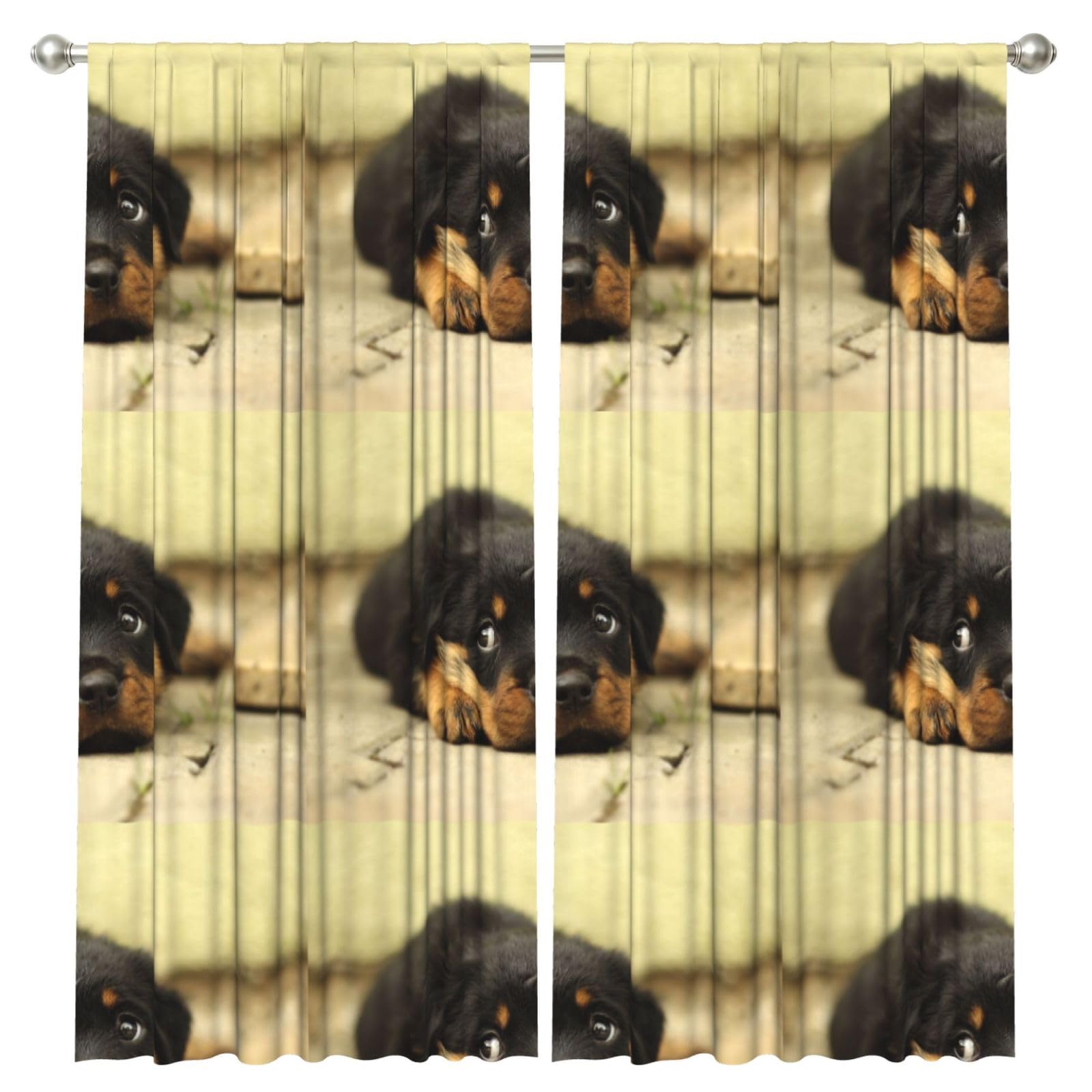 InOmak Rottweiler Dogs Cute Dogs Puppy Pets Small, 2 Panels Window Curtains 52 x 84 Inch Blackout Curtains for Living Room Bedroom
