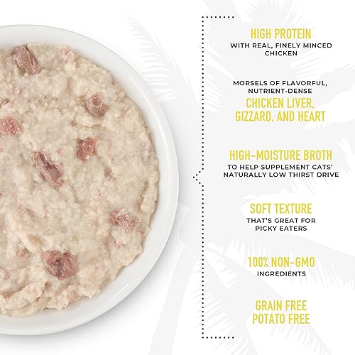 Miniatura 6 de Tiki Cat After Dark Pate+, receta de pollo en caldo de pollo, con caldo de alta humedad para una hidratación óptima, comida enlatada húmeda para