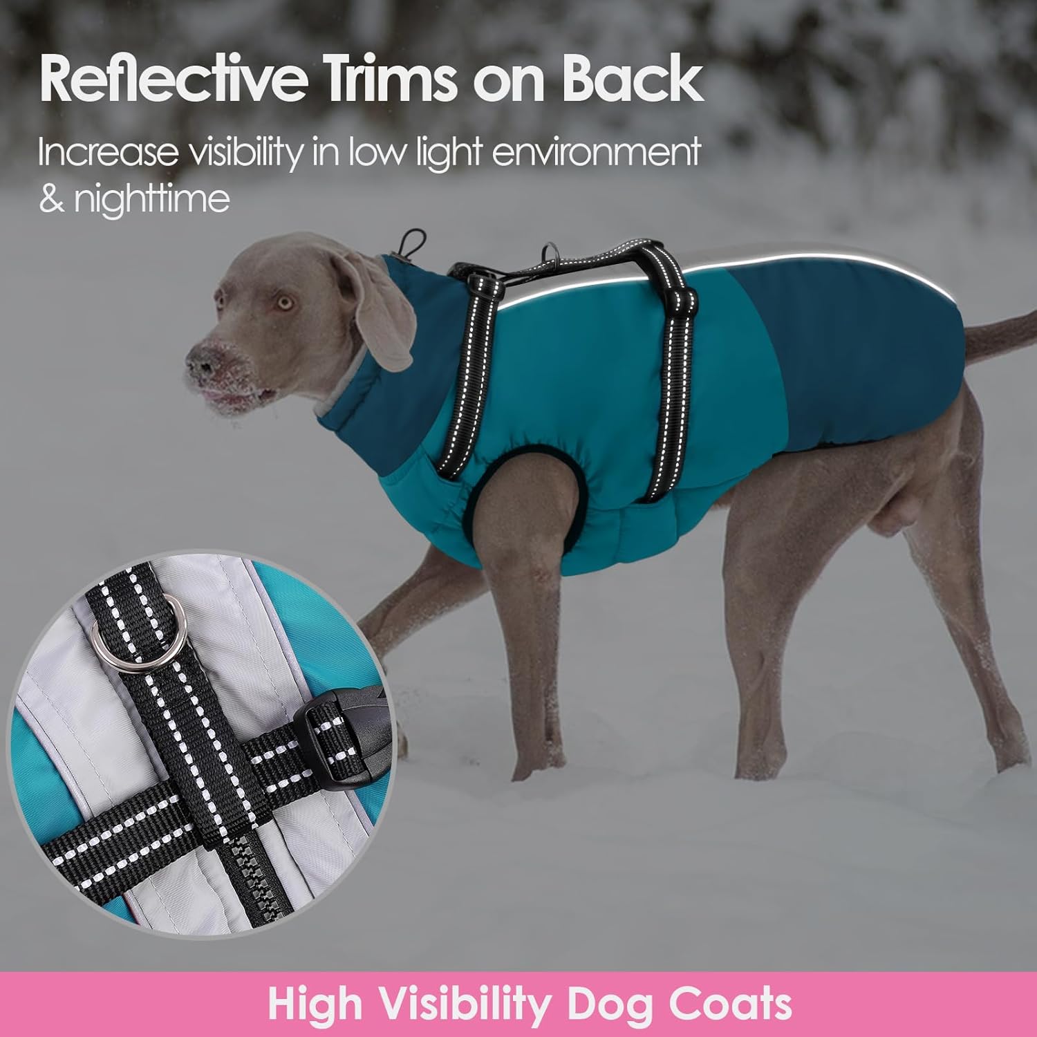 AOFITEE Small Dog Coat, Waterproof Dog Winter Jacket with Harness Built in, Warm Fleece Lined Dogs Jacket for Cold Weather, Reflective Pet Snow Jackets with Zipper for Yorkshire, Schnauzer,Turquoise S