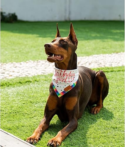 Miniatura 2 de Bandanas para perro niña, para cumpleaños, hermana mayor, bufanda de perro de doble capa, bufanda de tela para mascotas, duradera (nacimiento, XL)
