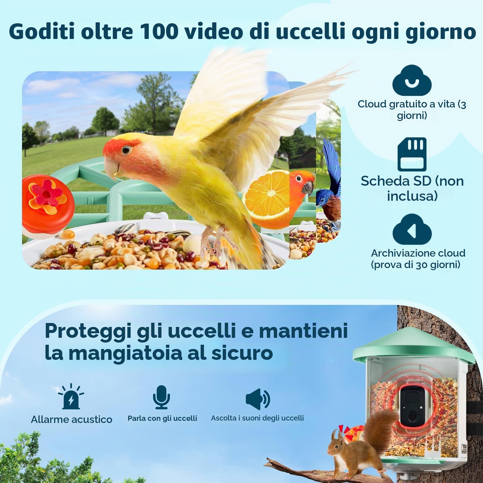 VEVOR Mangiatoia per Uccelli Intelligente con Telecamera, 2K HD AI Identifica Oltre 10000 Specie di Uccelli, Energia Solare con Acquisizione Automatica e Notifica Istantanea 1 Pannelli Solari Verde