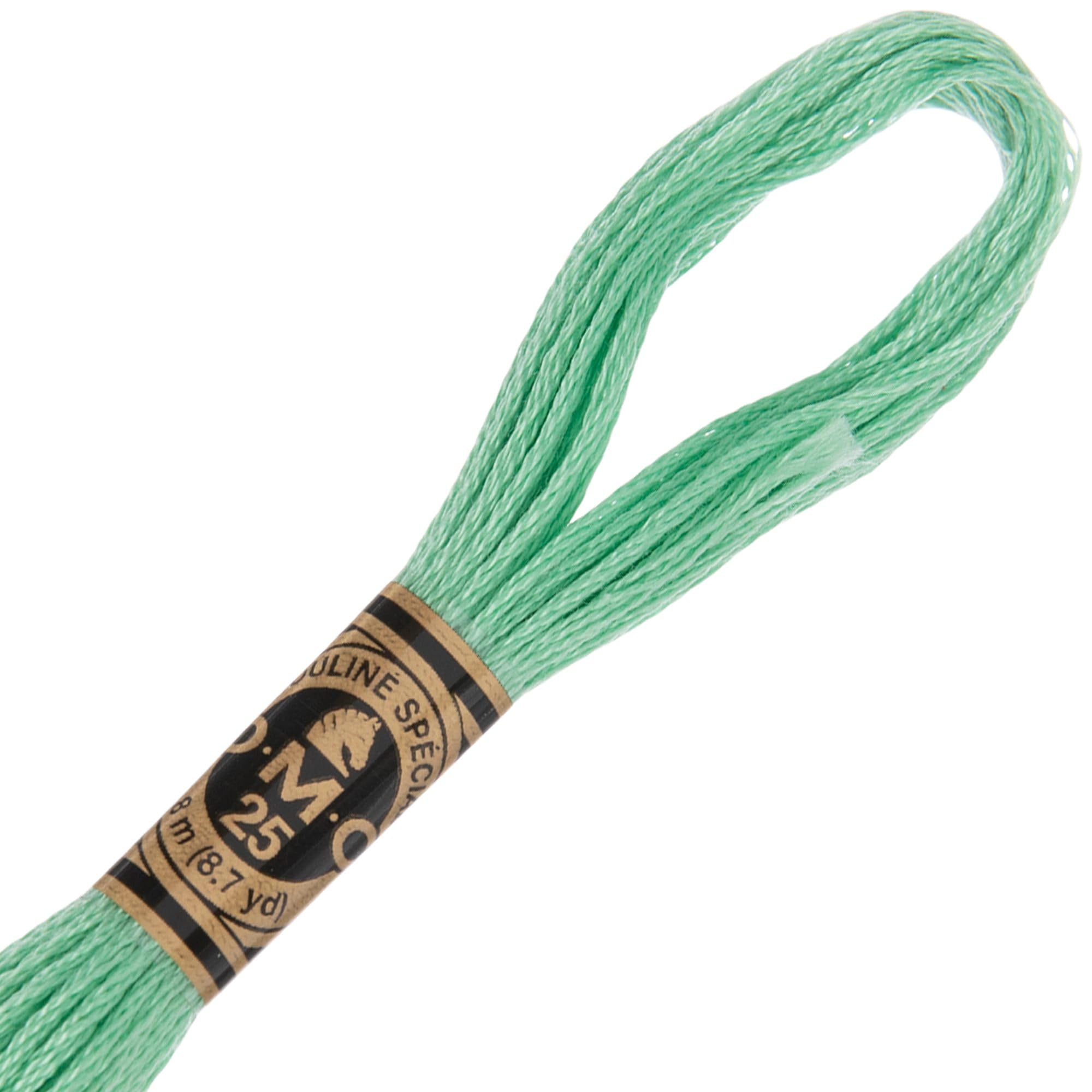 Hobby Lobby DMC Cotton Embroidery Floss - 954 Nile Green, Set of 12