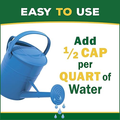 Miniatura 4 de Espoma (VIPF8) Alimento orgánico para plantas violetas, 8 onzas - Paquete de 5