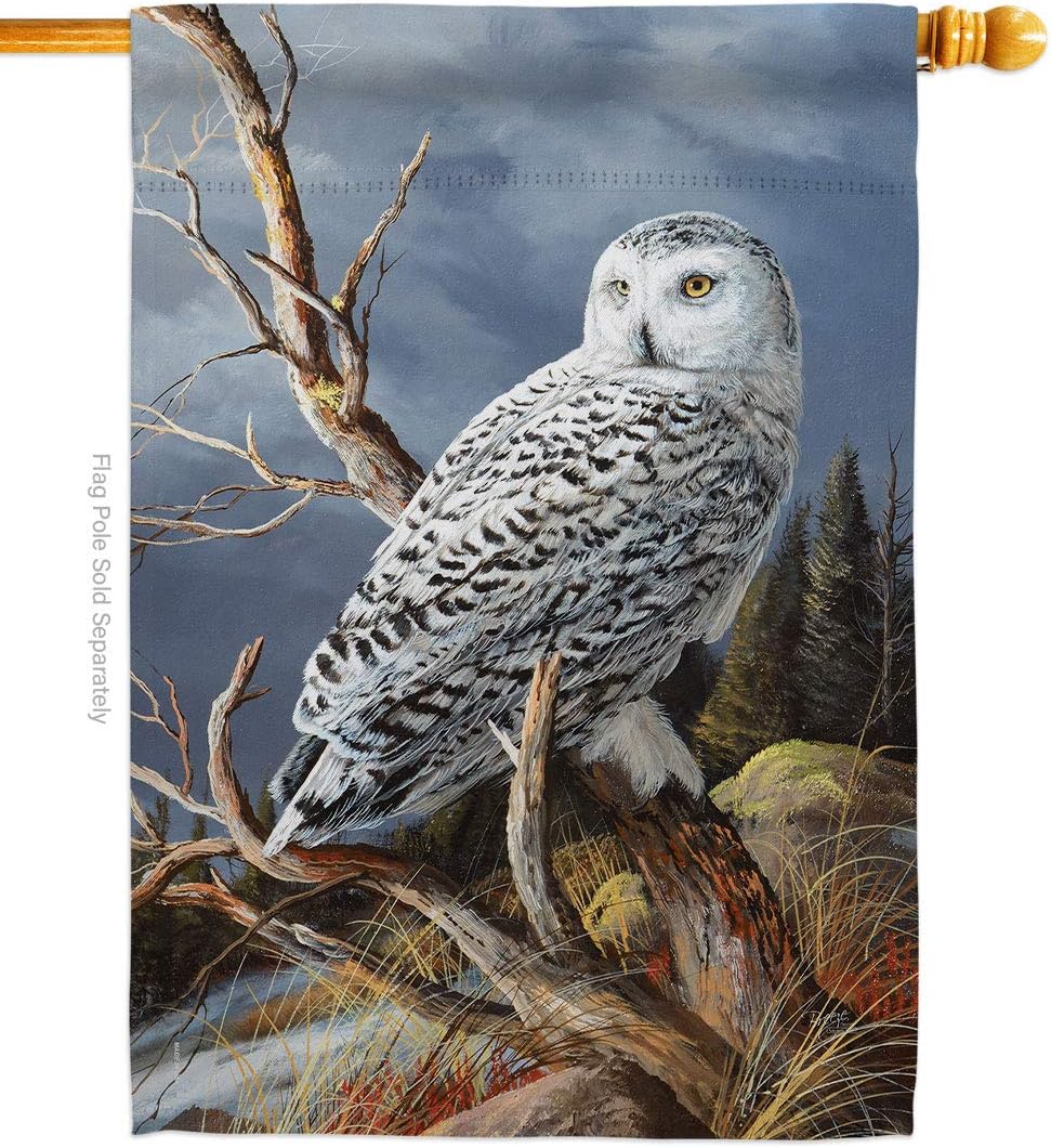 Breeze Decor H105051-BO Superior Vantage Owl Garden Friends Birds Impressions Decorative Vertical 28" x 40" Double Sided House Flag Printed in USA