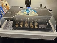 Review Image by Sonnie Gibson Sonnie Gibson