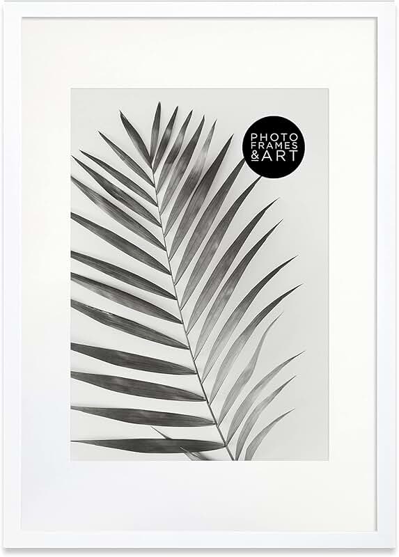 Amazon.co.uk a2 frame with a3 mount