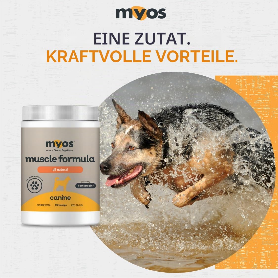 MYOS Canine Muscle Formula - All-Natural Muskelaufbau Supplement - Hilft Muskelverlust bei Hunden durch normales Altern zu reduzieren und verbessert die Erholung nach Verletzungen oder Operationen