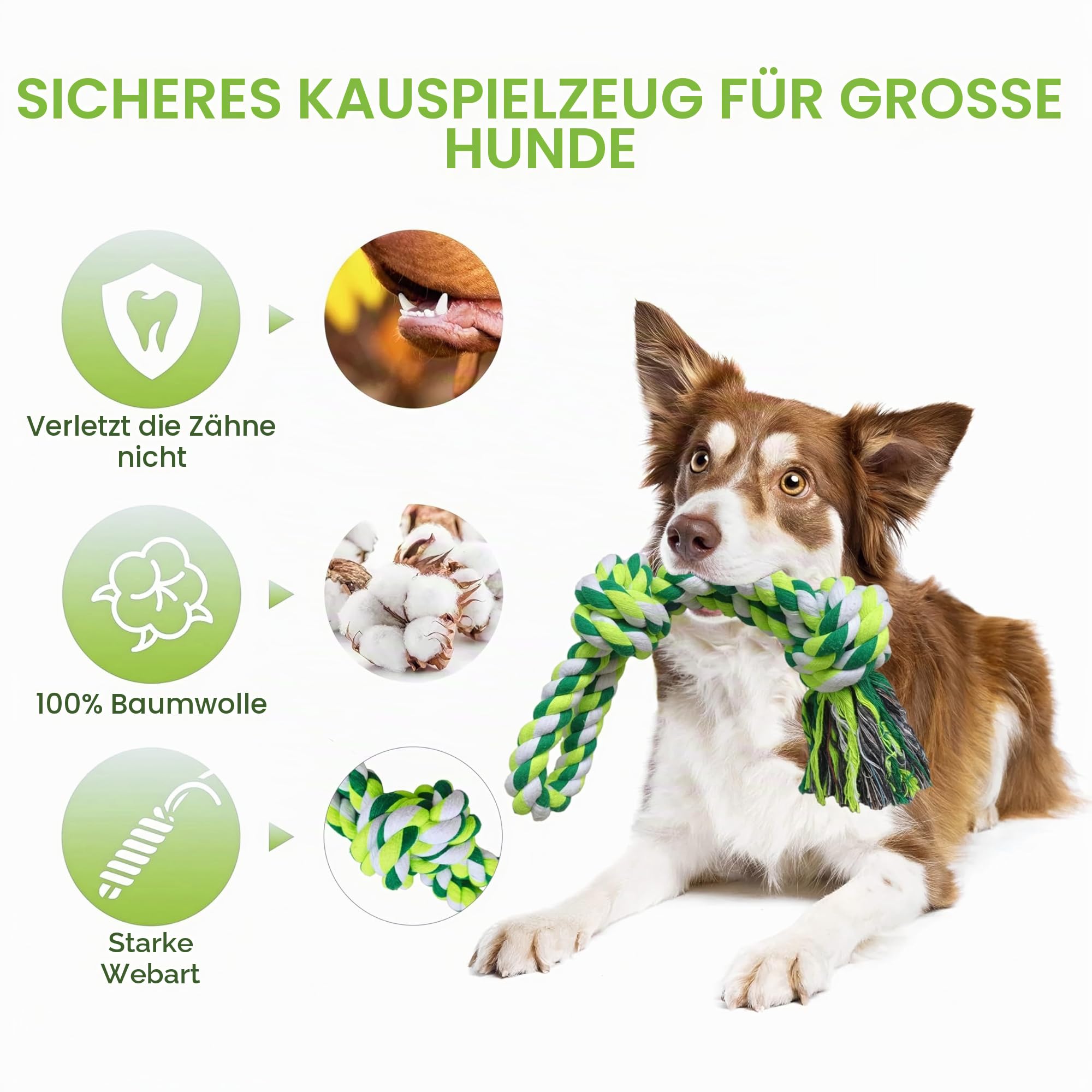 Bungee-Ziehspielzeug für Hunde, Outdoor Hundespielzeug zum Aufhängen mit 2 Kauseilen, Interaktives Tau Spielzeug Hunde Seil für Training Ziehen