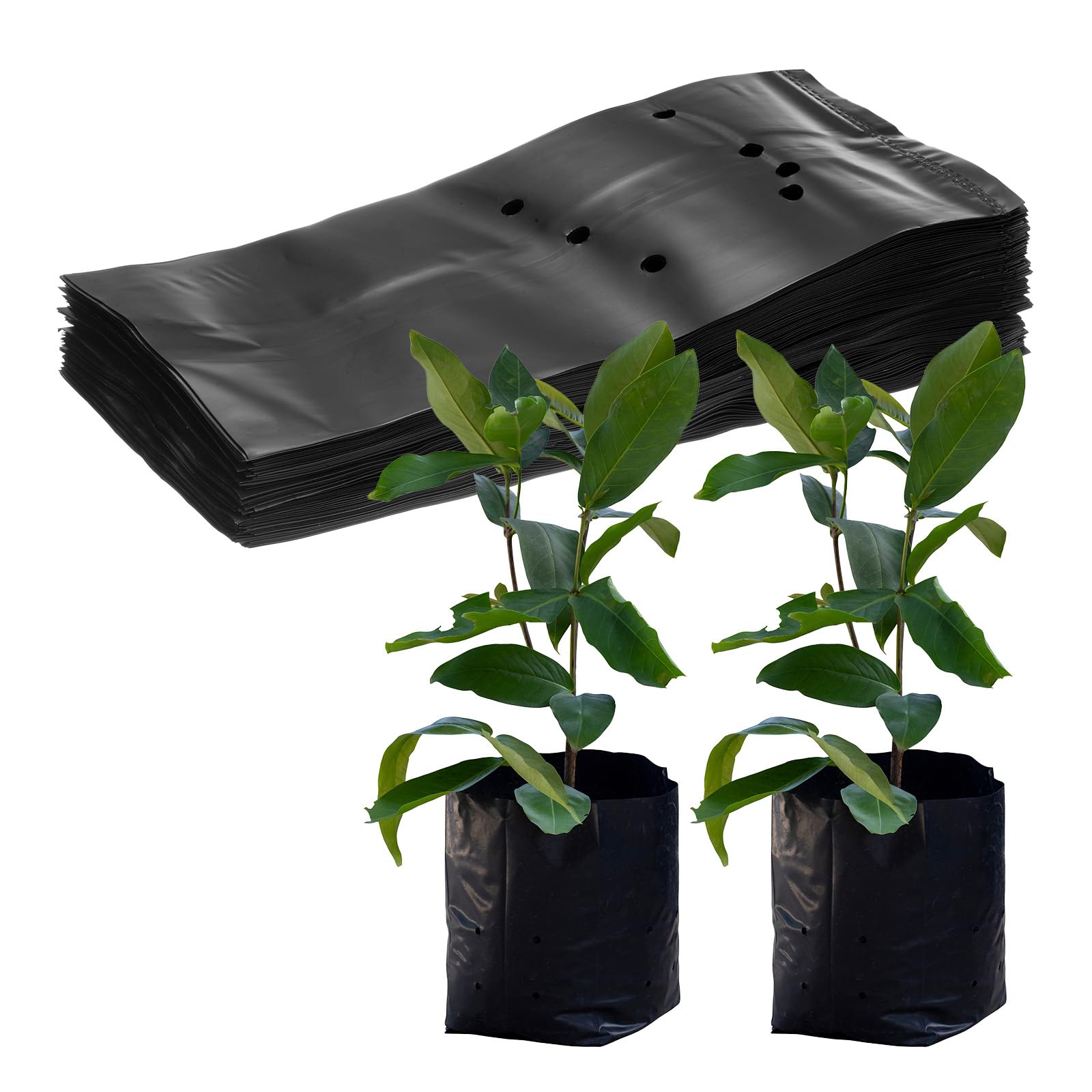 M METERXITY 50-Pack Nursery Growing Bags, 9.4" x 10.6" Thicken Plastic Nursery Bags