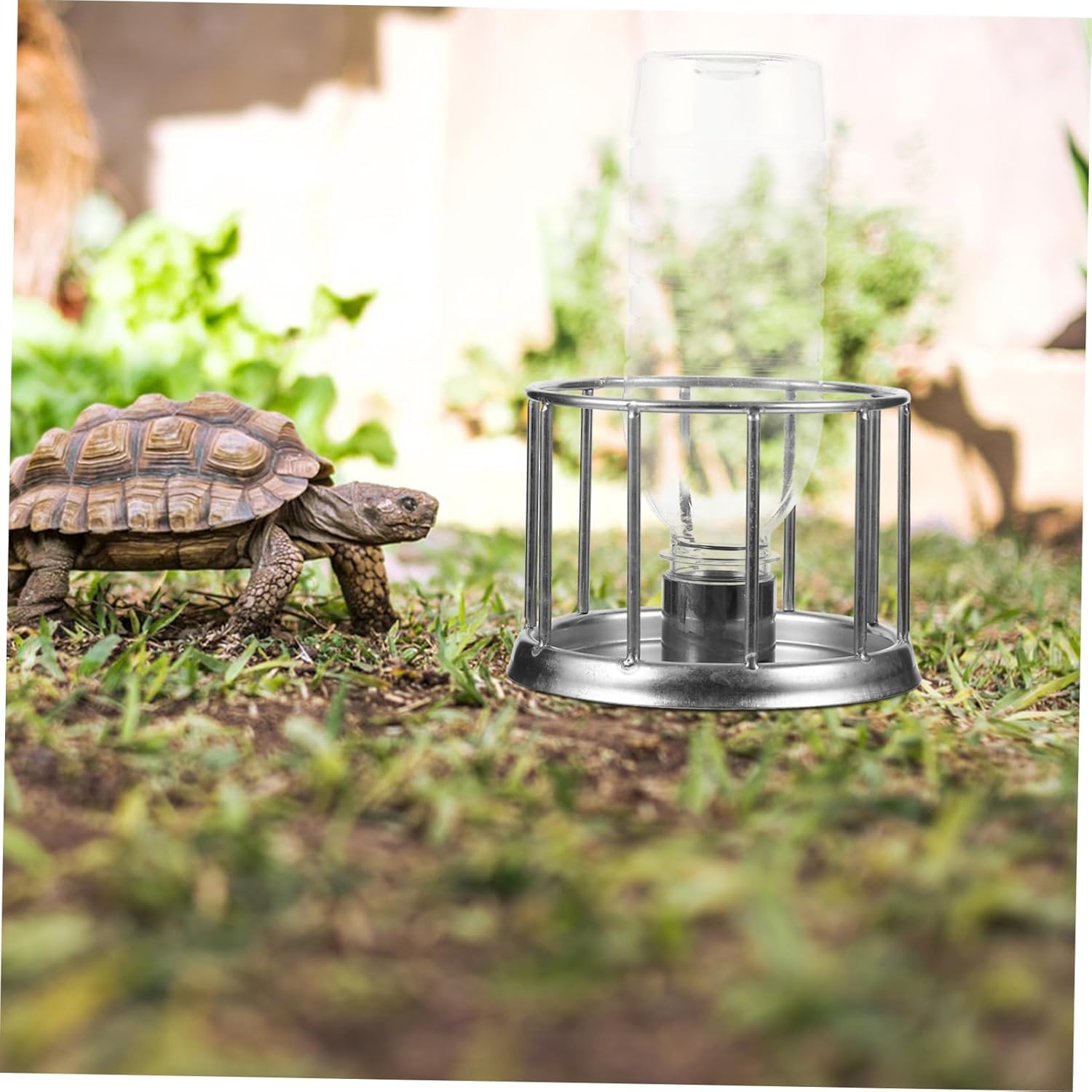 5pcs Dish Tortoise Feeding Bowl Reptile Water Feeder Terrarium Food Bowl