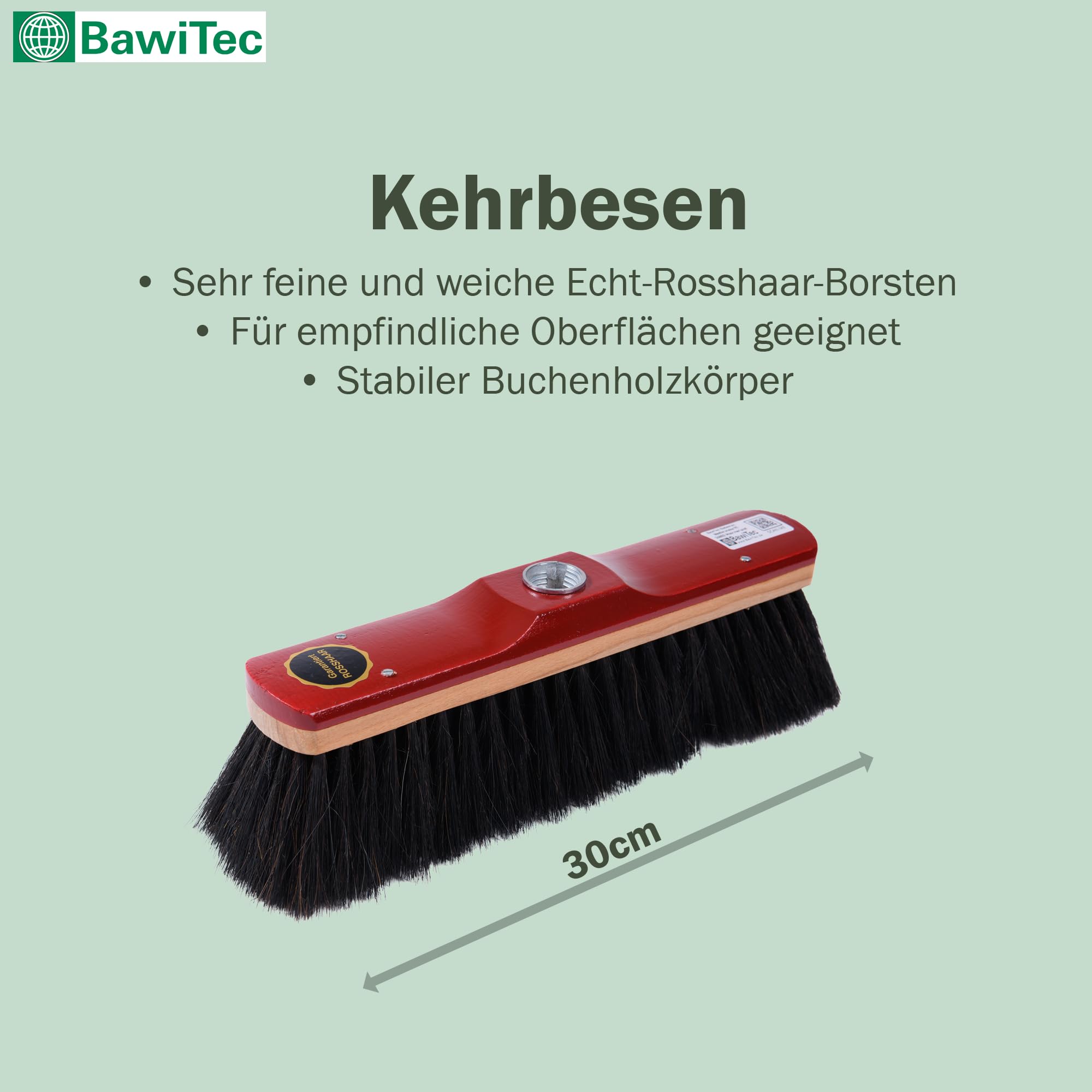 Hochwertiges Rosshaar Besen Set Handfeger Kehrschaufel Teleskopstiel Stiel | Besen 30cm, Handfeger 28cm, Holz-lackiert, Teleskopstiel verstellbar, Metall-Kehrschaufel verzinkt mit Lippe