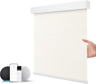 ZSTARR Motorized Smart Blind for Window with Remote Control, Automatic Blackout Roller Shade Customizable Size,with Valance Child Safety Rechargeable Battery Blinds (Full Blackout Beige)