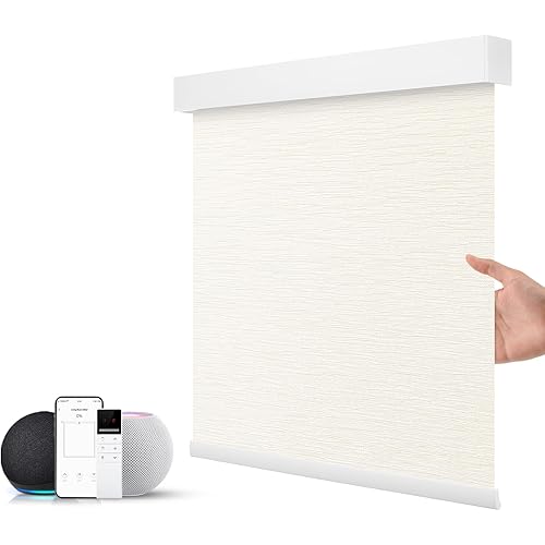 ZSTARR Motorized Smart Blind for Window with Remote Control, Automatic Blackout Roller Shade Customizable Size,with Valance Child Safety Rechargeable Battery Blinds (Full Blackout Beige)