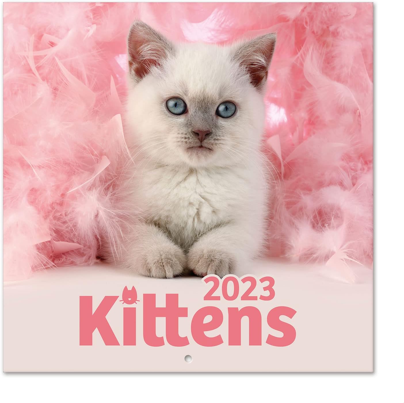 Grupo Erik Cats Simon K. and Greg C. Wall Calendar 2023 FSC 12 Month Planner Square, Wall Family Planner, Cat Calendar 2023 + 4 Bonus Months, 12' x 12', 300 cl