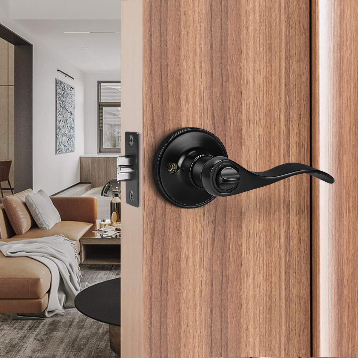 Gobrico Keyed Alike Front Entry Door Levers in Matte Black, Exterior/Interior Door Locksets with Same Key, 6Pack