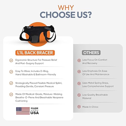 Miniatura 5 de L'il - Soporte de espalda para IVDD en perros pequeños, artritis, recuperación quirúrgica espinal, hernia de disco, disco deslizado, rehabilitación