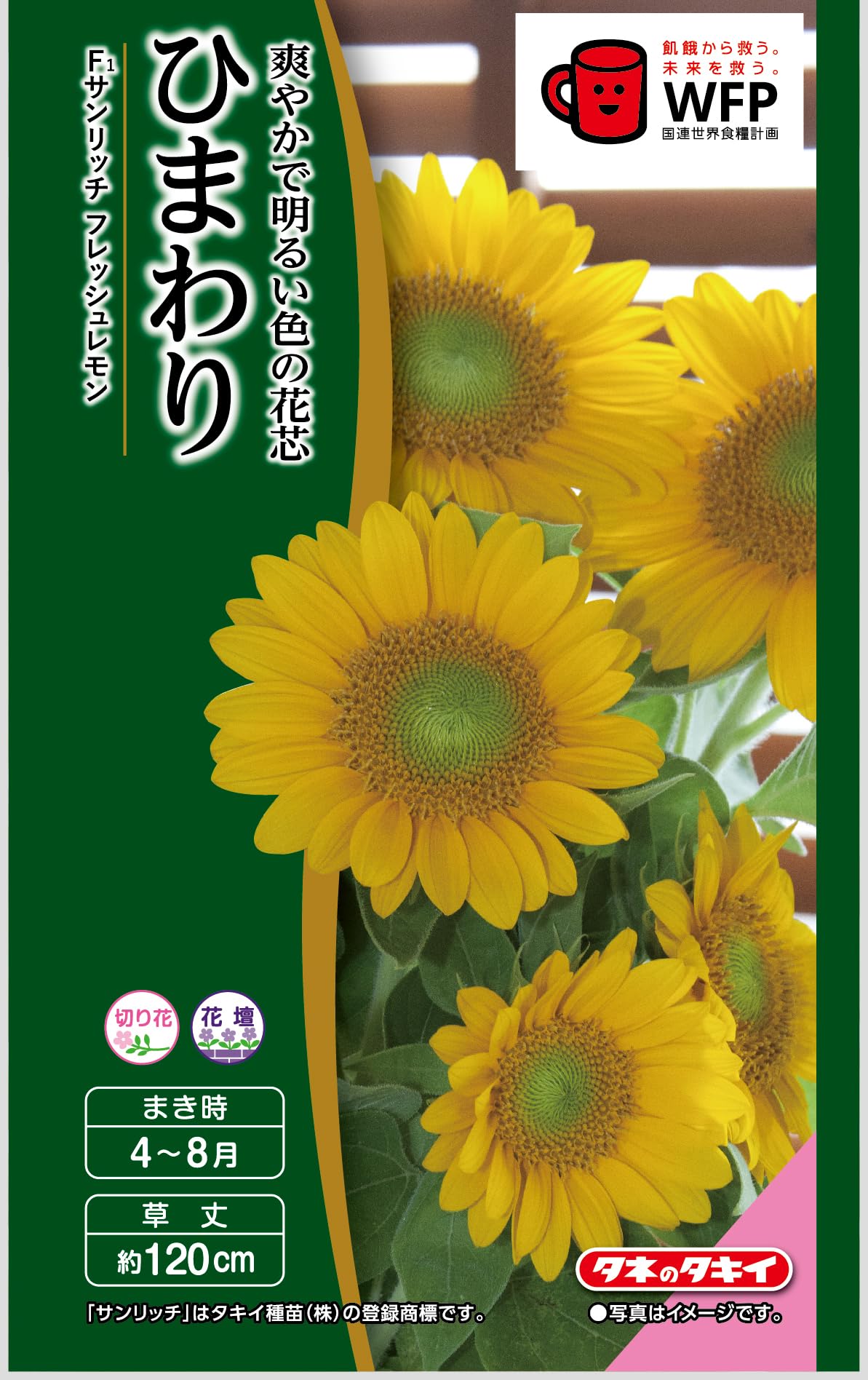 Amazon | タキイ種苗 花種 ひまわり F1サンリッチ フレッシュレモン | 花