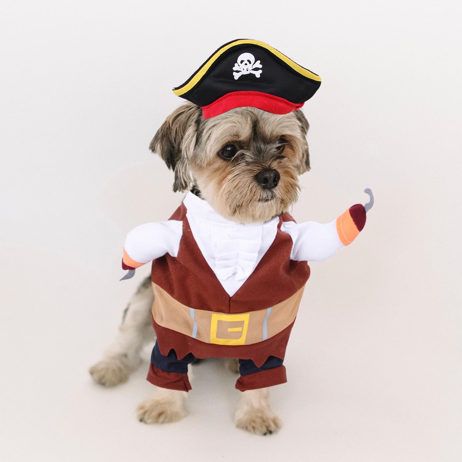 4 Set Costume Pirata per Cani e Gatti, Cotone Xl, Halloween