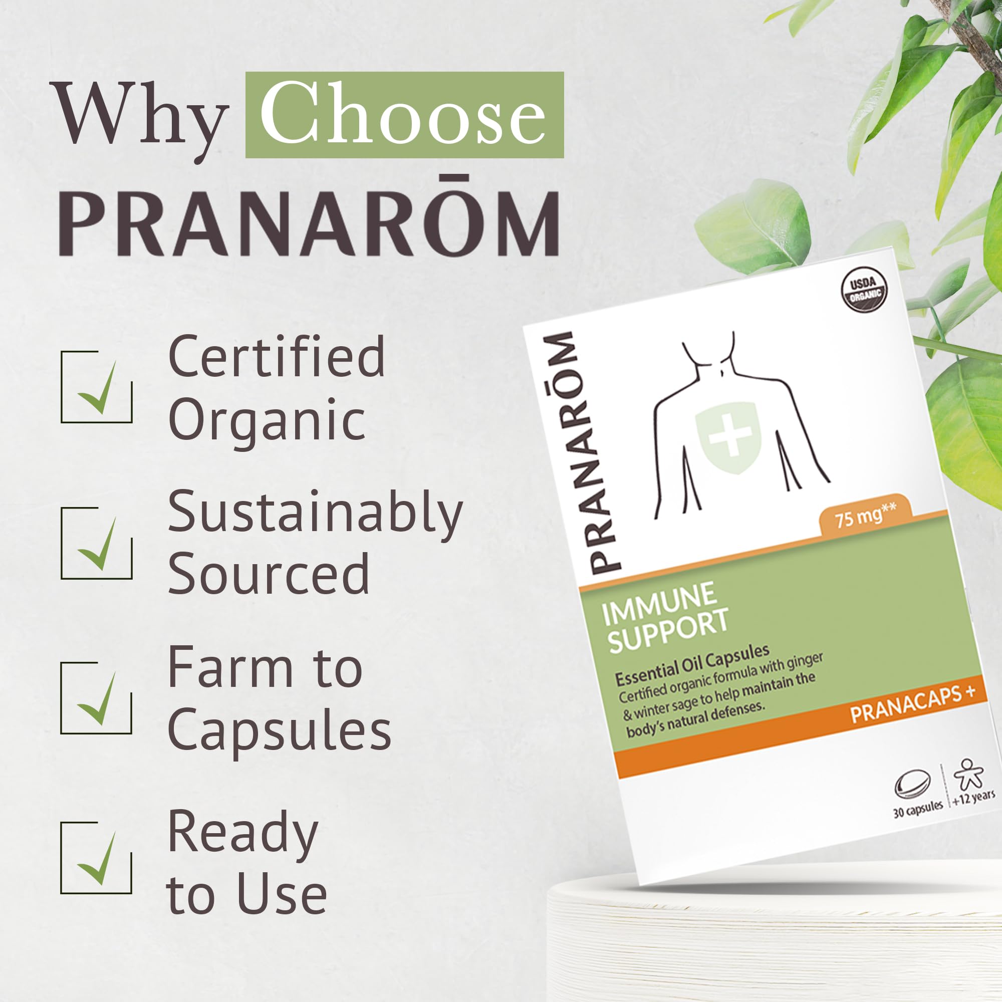 Amazon.com: Immune Support Pranacaps : Grocery & Gourmet Food