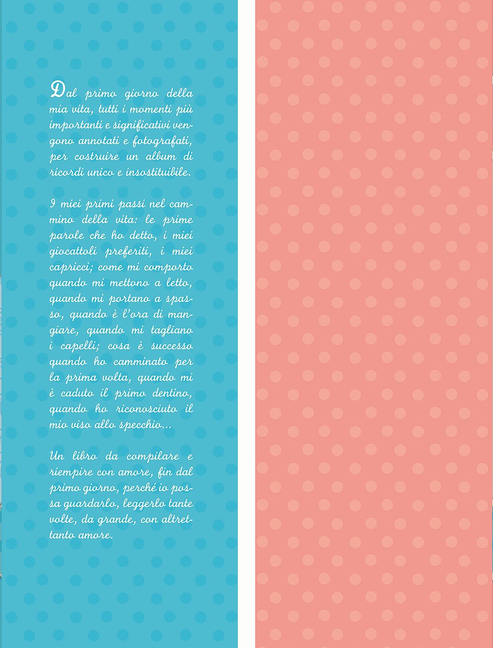 Dal primo giorno. L'album ricordo della mia infanzia. Ediz. lusso