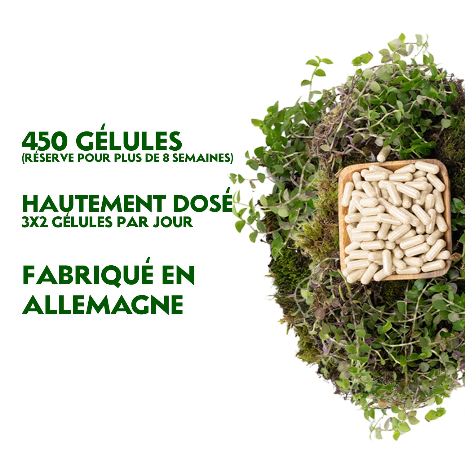 Gélules de psyllium bio RheinNatur - 450 unités