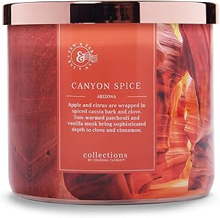 Colonial Candle Canyon Spice Scented Jar Candle, Travel Collection, 3 Wick, Orange, 14.5 oz - Up to 60 Hours Burn