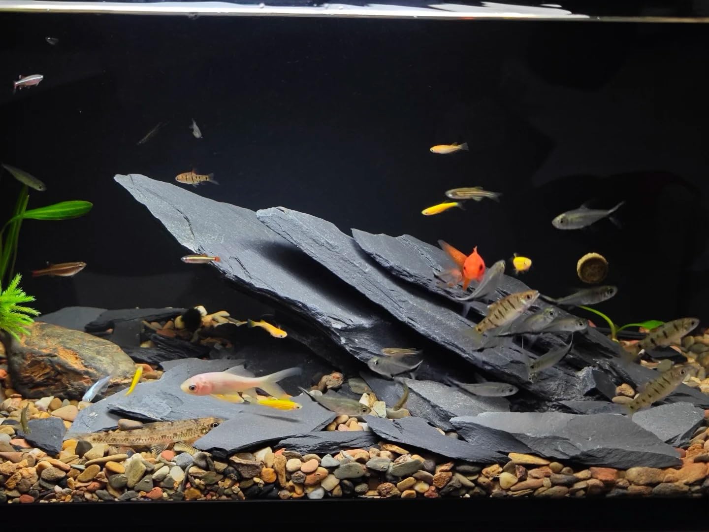 View 9