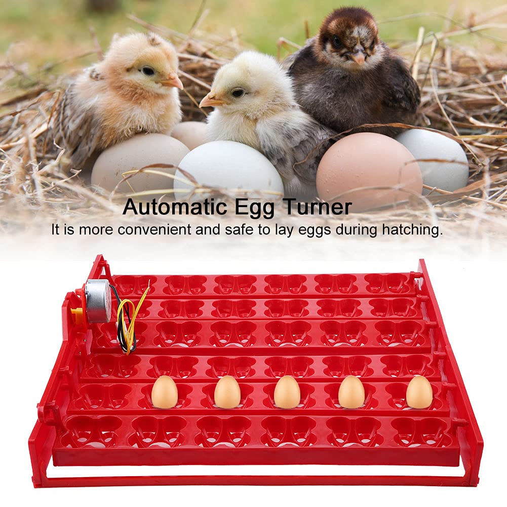 Tyenaza Bandeja Volteo Incubadora, 36 huevos/144 incubadora de Huevos de Pollo Incubadora Automática Pato Codornices Aves Aves de Corral Bandeja de al Incubadora de Huevos(43 x 41,7 x 5,2 cm)