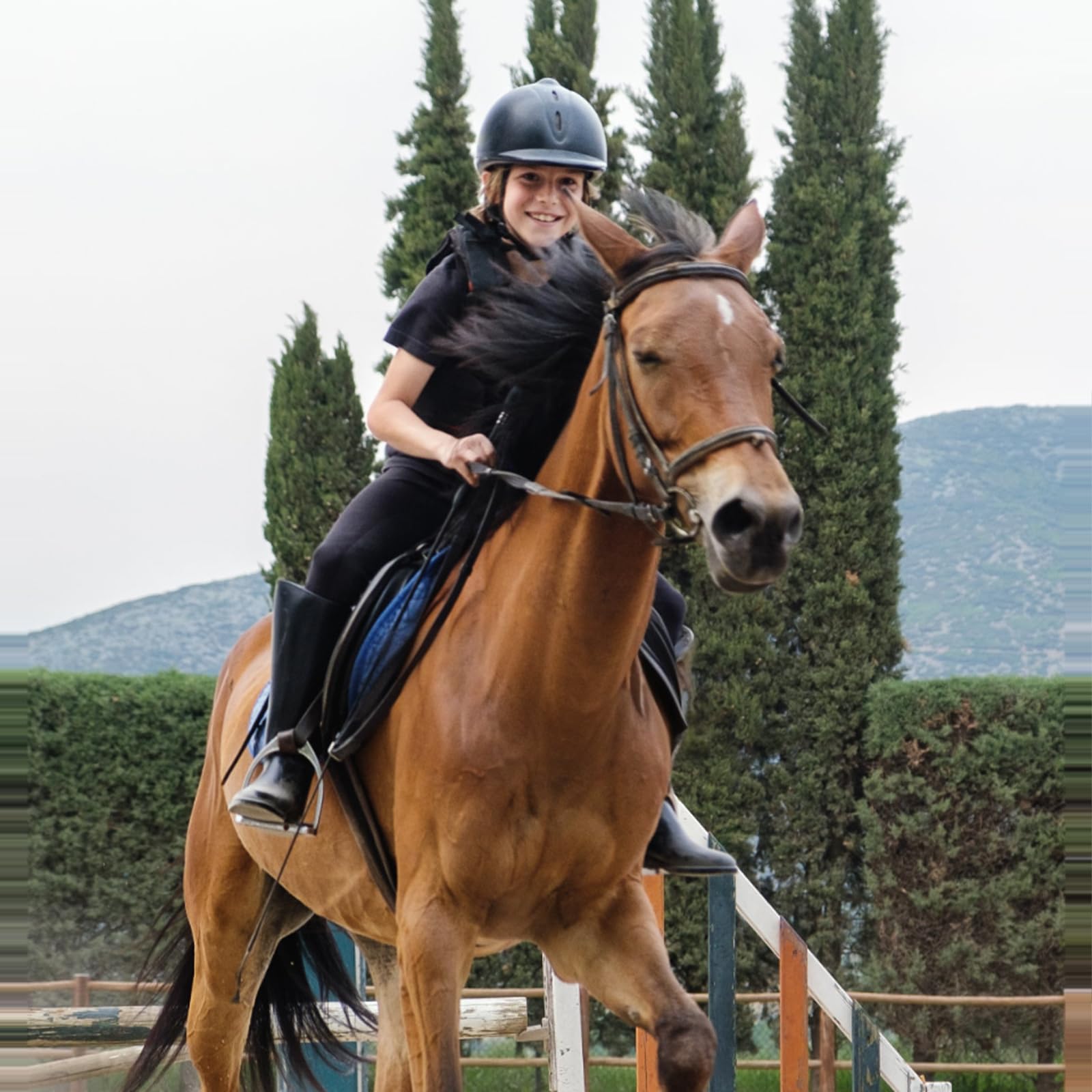 Frustino Equitazione 45 cm, Frusta da Equitazione in Nero, Leggero e Confortevole per L'Allenamento Quotidiano e Salto del Cavallo