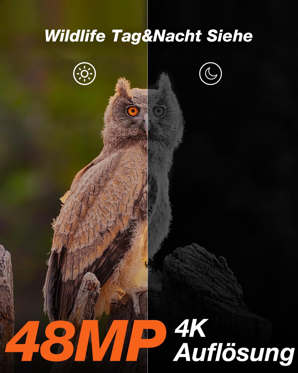 iZEEKER Solar Wildkamera 4K 30fps 48MP, Wildtierkamera mit 2600 mAh Akku, Wildkamera mit Bewegungsmelder Nachtsicht, Kein WLAN, IP66 Wasserdicht für Wildtierbeobachtung & Heim Sicherheit