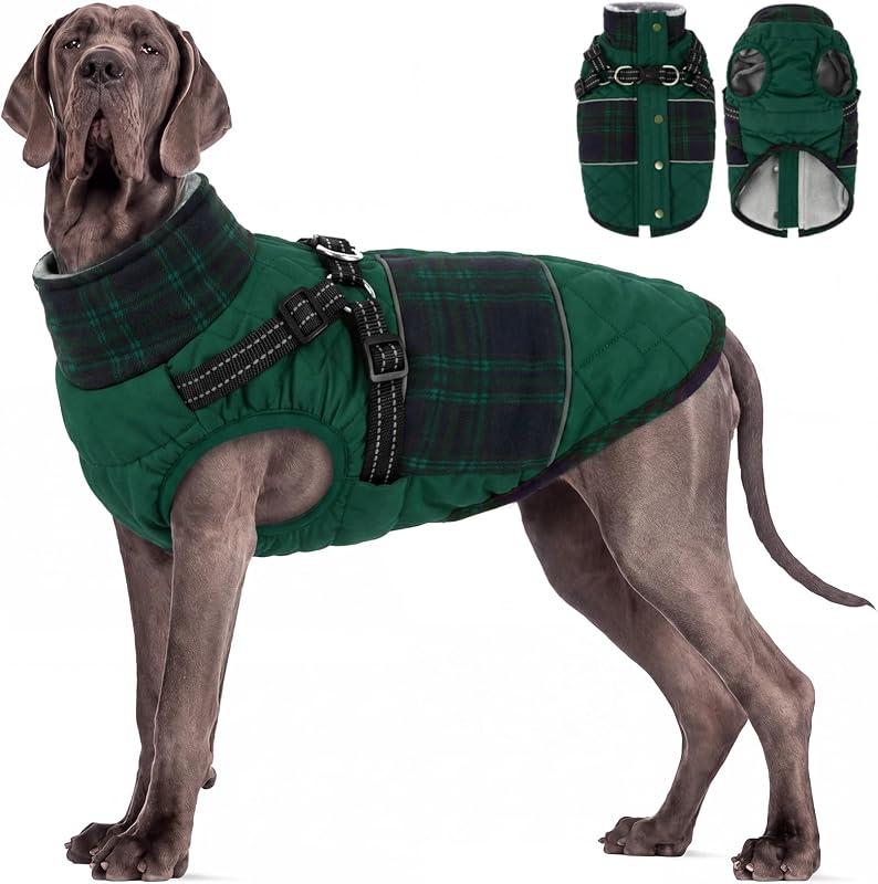 Casaco de inverno para cães grandes com peitoral integrado MIGOHI Verde XXXL