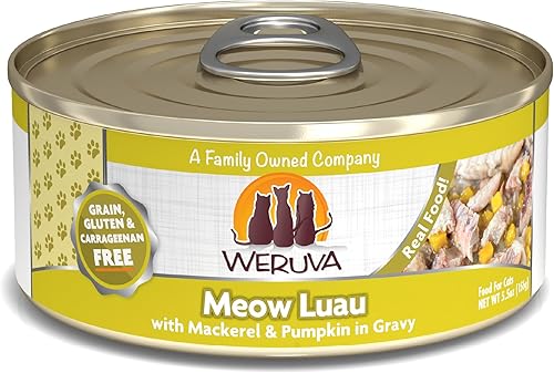 Weruva Meow Luau - Comida clásica para gatos con caballa y calabaza en salsa, lata de 5.5 onzas (paquete de 24)