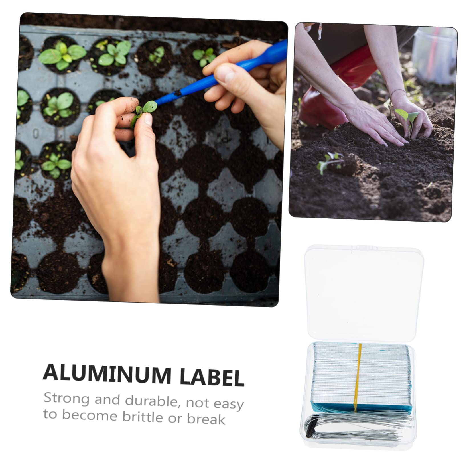 2ensembles Étiquettes Imperméables Pour Plantes Marqueurs Et Résistants Aux Intempéries Pour Jardinage Et Identification Des Fleurs Et Arbres Pratique De Piquets De Jardin