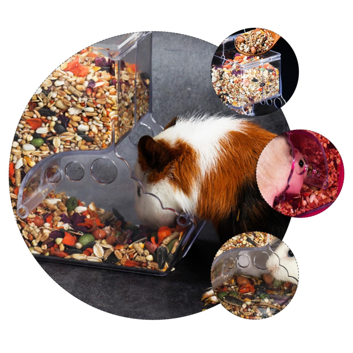 ifundom 2 Pcs Refillable Hamster Automatic Feeder Self Dispensing Pet Supplies for Small Animals Transparent Design for Easy Monitoring for Hamsters Rabbits Birds