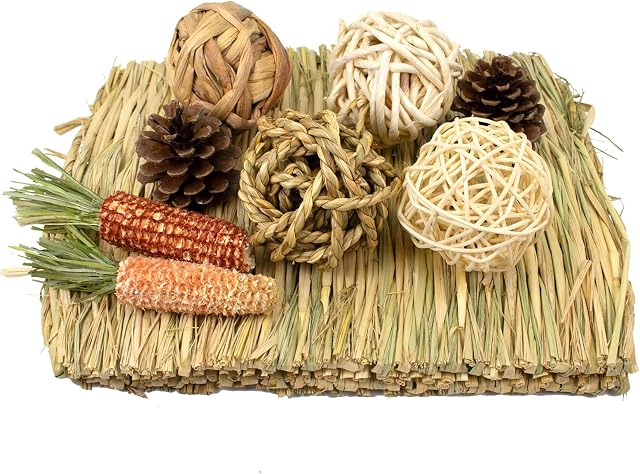 LLGLEU 2 Pcs Grass Mat for Rabbit with 4 Play Balls Pine Cone Carrot Bunny Chew Toy Natural Woven Bed Mat Molar Teeth Set for Guinea Pig Chinchilla Squirrel Hamster and Small Animal (Typ1)