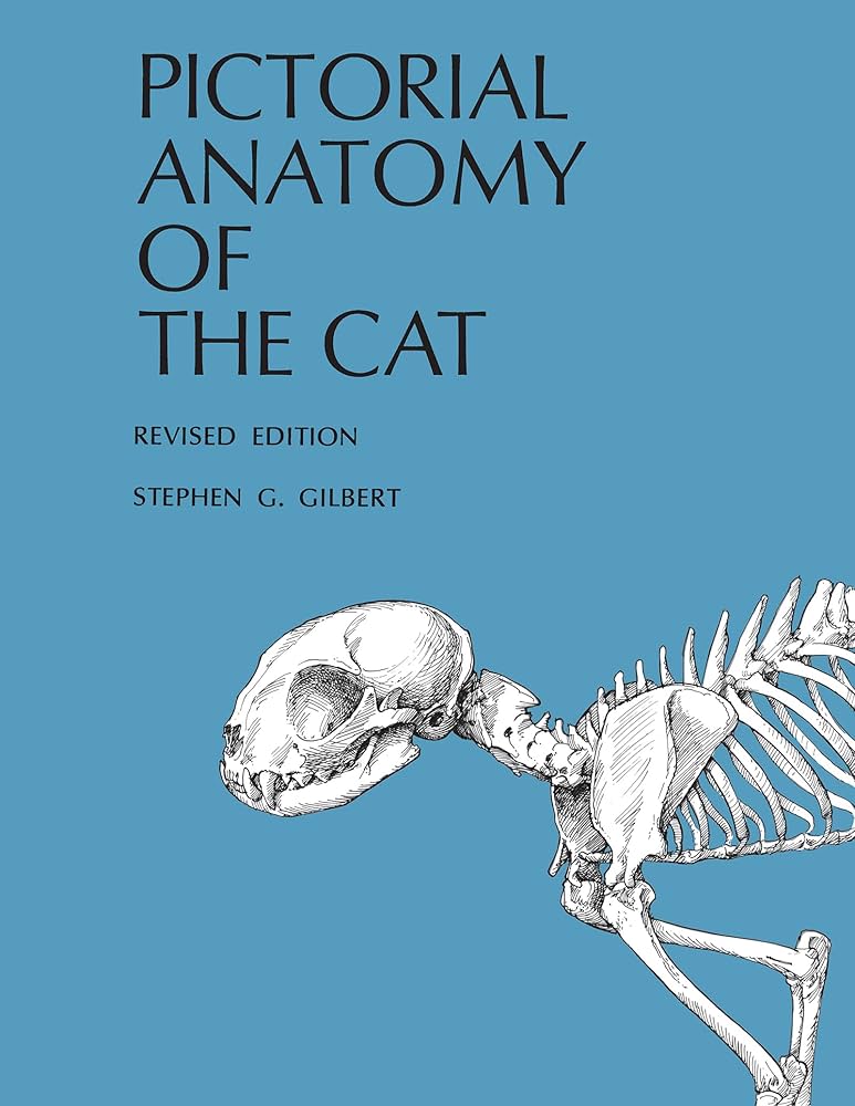 Anatomy of the Cat ほか猫解剖学関連書籍　４点セット Anatomy of the Cat ほか猫解剖学関連書籍 4点セット Anatomy