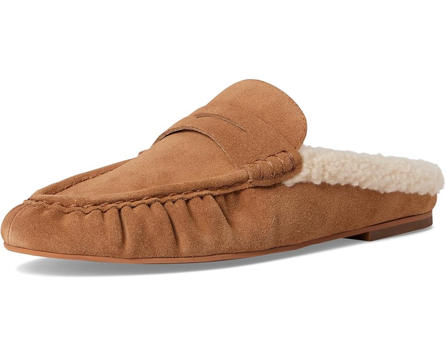 Steve Madden Rafe - Front View