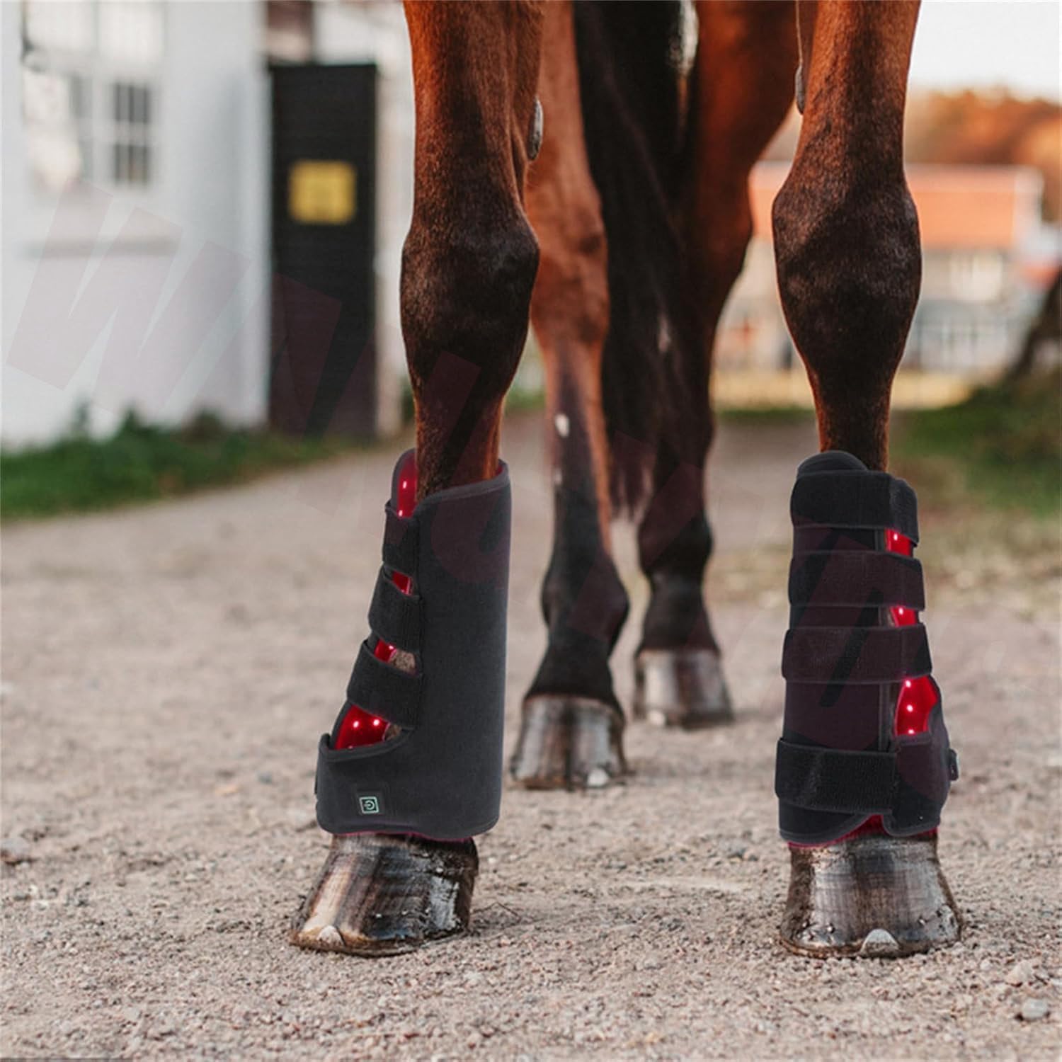 Red Light Therapy Device for Horse Leg Pain Relief LED Belt for Muscle and Joint Pain Relief ()