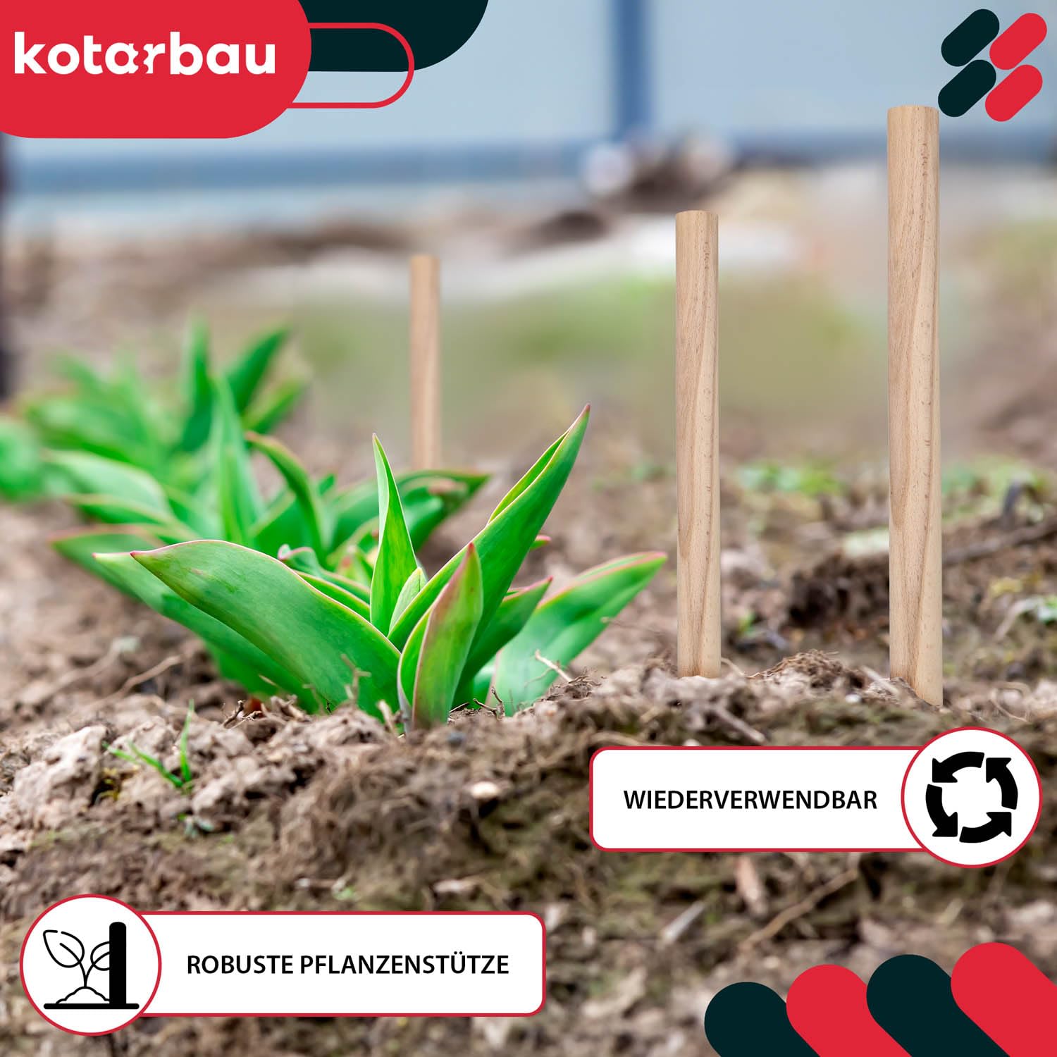 KOTARBAU® 25 szt. Paliki Drewniane Bukowe Geodezyjne - 40 cm - Podpora do Pomidorów Warzyw Drzewek