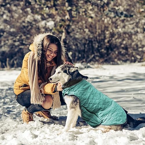 Miniatura 6 de EMUST Abrigos de invierno para perros, ropa para perros para clima frío, estilo británico, chaqueta cálida a prueba de viento, abrigos para perros