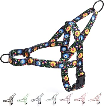 No Pull Dog Harness for Small, Medium, and Large Pets - Floral Pattern Nylon Safety Training Dog Harness XS, Black