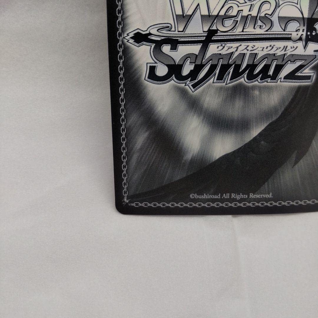 SP 決めて着るから決着!流子(サイン入り)