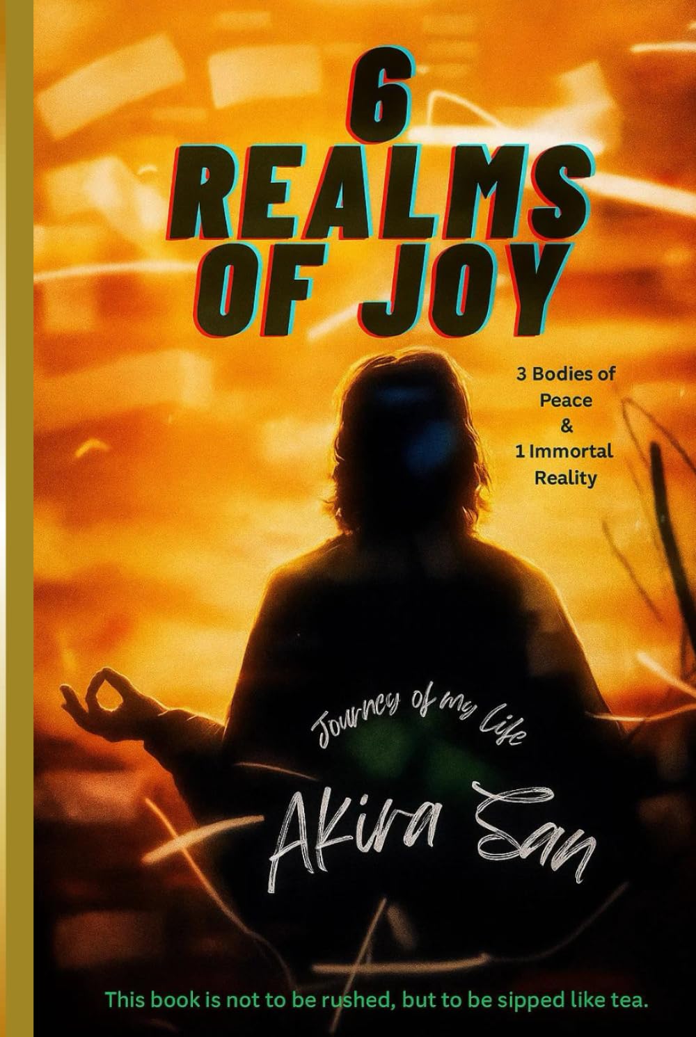 6 Realms of Joy - 3 Bodies of Peace & 1 Immortal Reality: Journey of my life