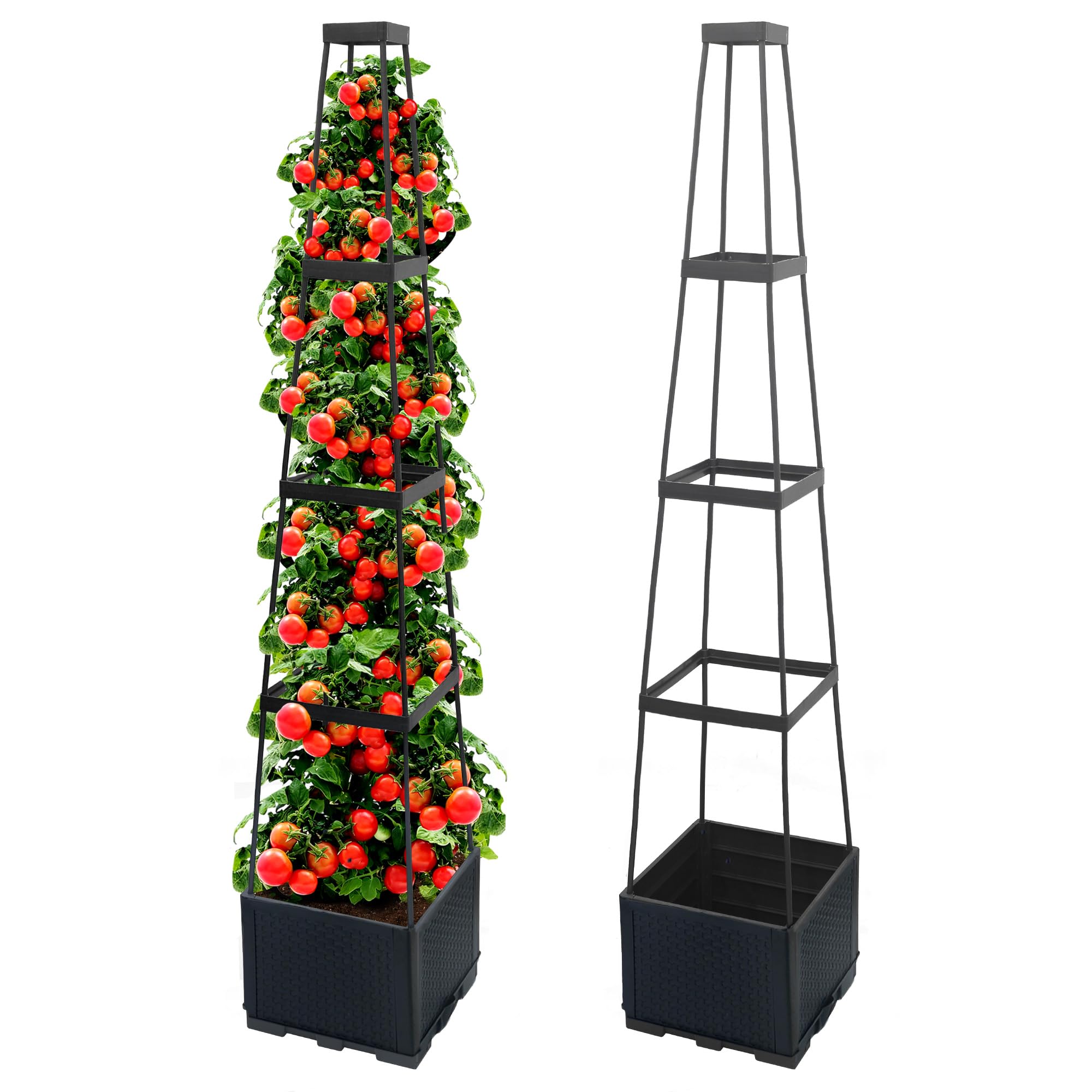 Amazon.com : Biotolot 2 Packs Raised Garden Bed Tomato Planter Box