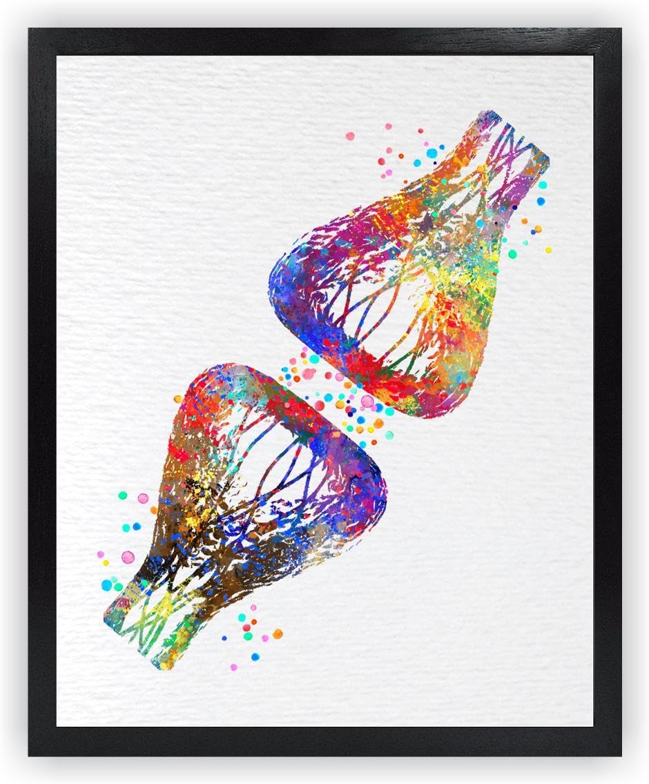 Dignovel Studios 11X14 Unframed Synapse Receptor Medical Science Neurology Neural Network Watercolor Art Print Poster Housewarming Giclee Office Home Decor DN531