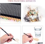 Set de crayons aquarelle, Ensemble de 36 Couleurs, Ensemble de crayons à dessin d'art multicolore, Fournitures d'Art pour dessiner de l'art, Sketching, Shading, Coloring Crayons pour adultes, Débutants & Artistes en boîte en étain